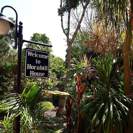 Hornbill House Bed and Breakfast Mtubatuba Zewnętrze zdjęcie